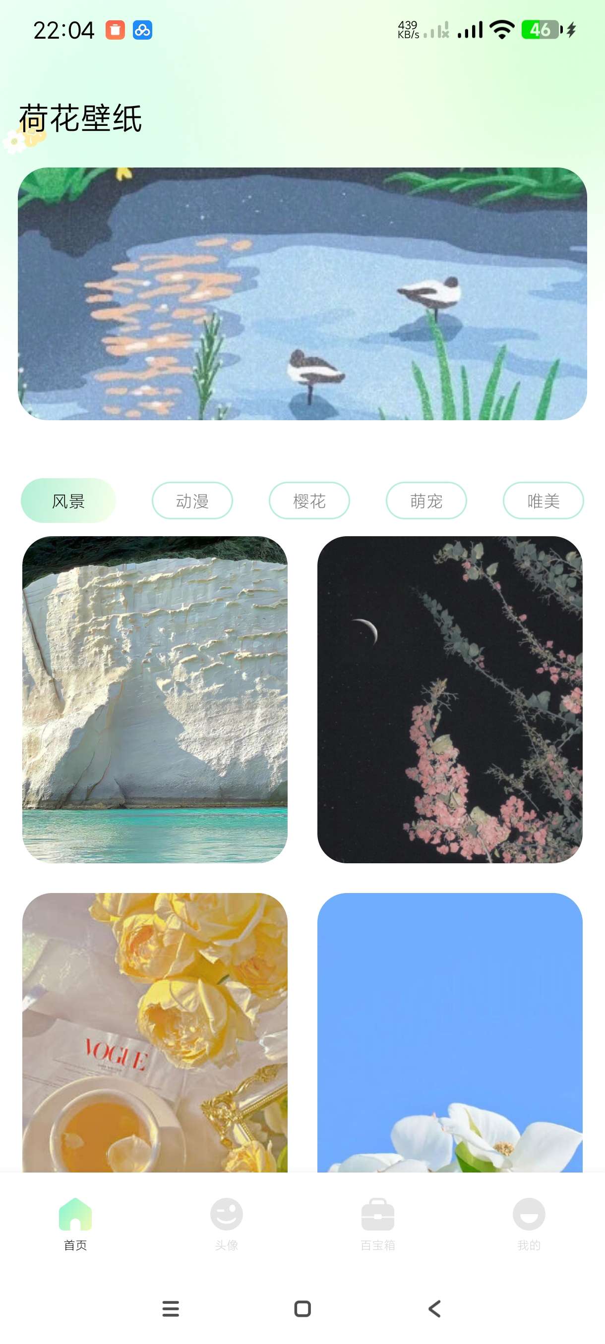 【分享】荷花壁纸1.1🔥海量精品壁纸｜安卓版