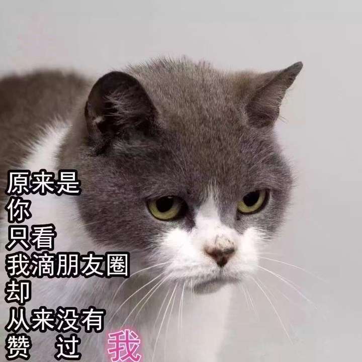 【分享】摘抄1.2🔥海量文案~伤感句子~一键生成文章~