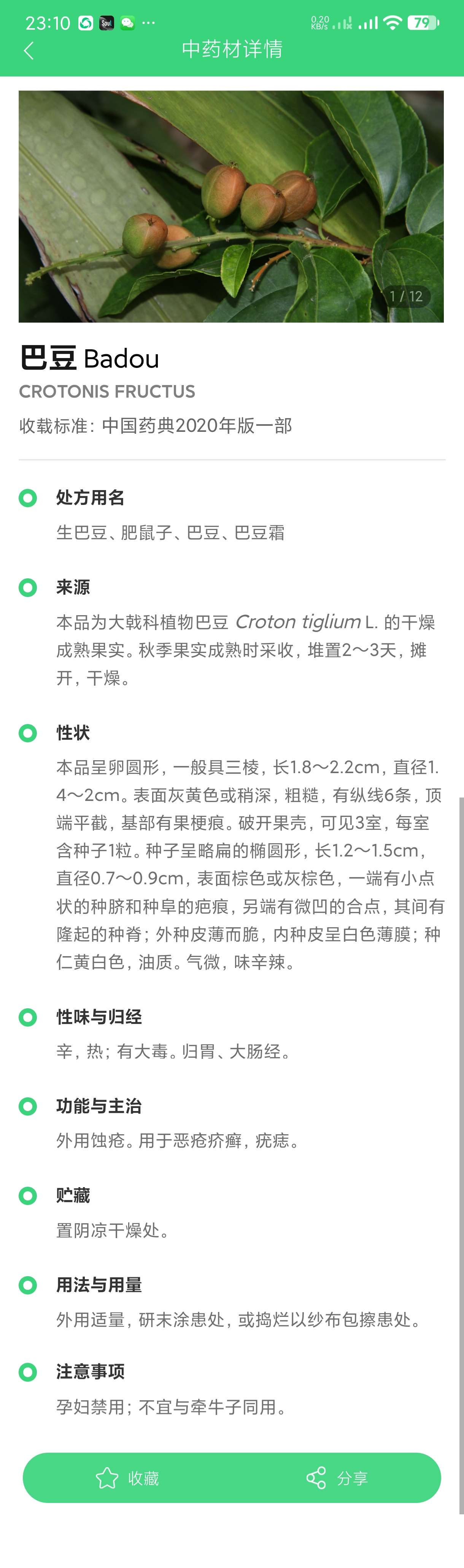 【分享】照药镜2.0.4🔥中草药一键识别~大厂出品~纯净无广