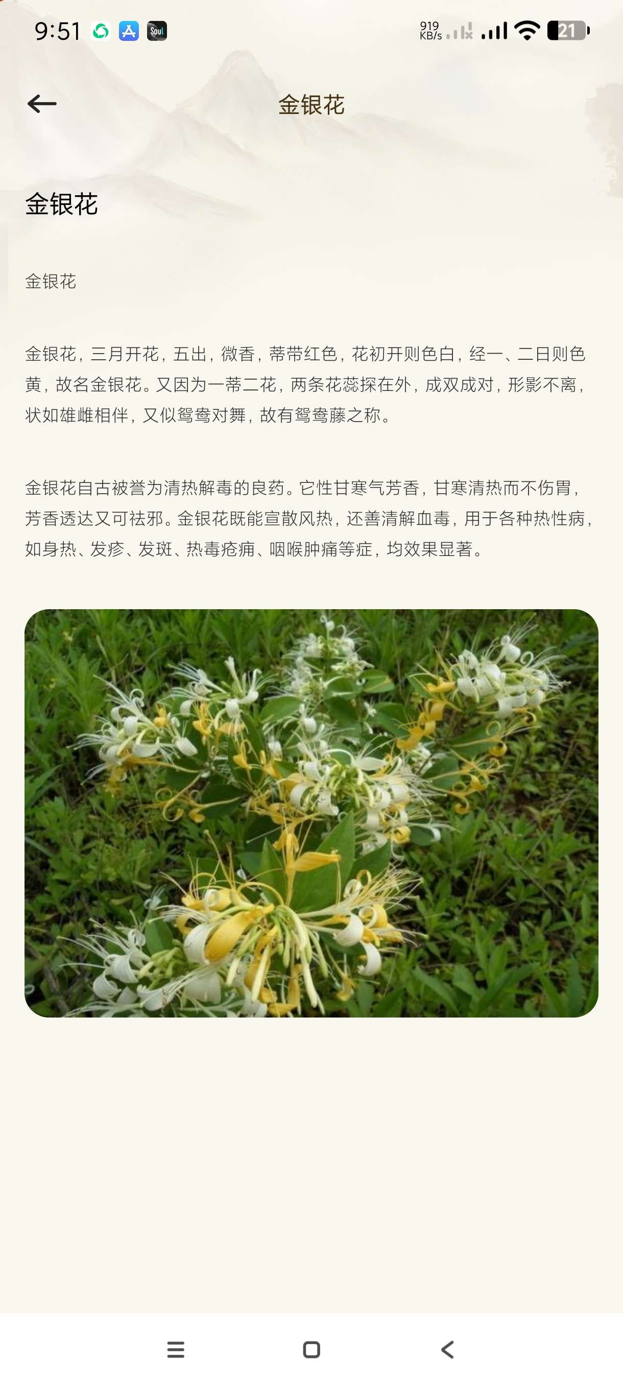 【分享】中医经络位典籍1.1🔥免费学习中医针灸经络~治疗身体虚