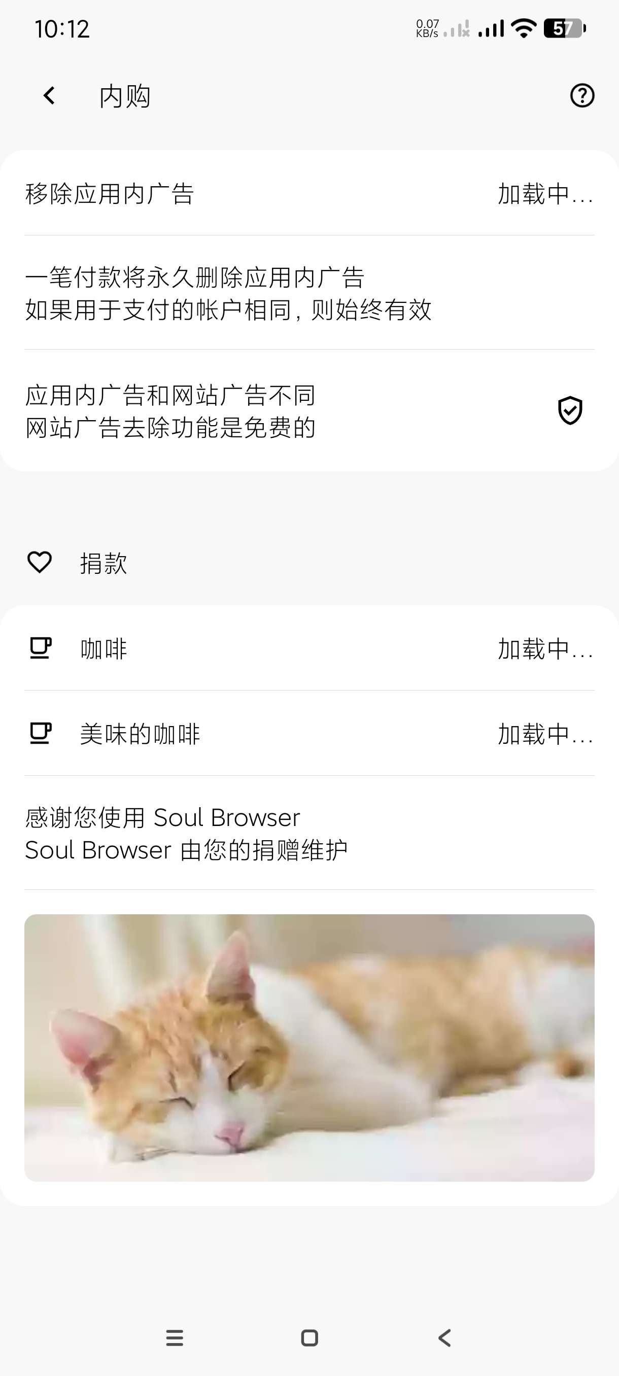 【分享】灵魂浏览器1.4.76🔥万能浏览器~支持谷歌｜网页内购