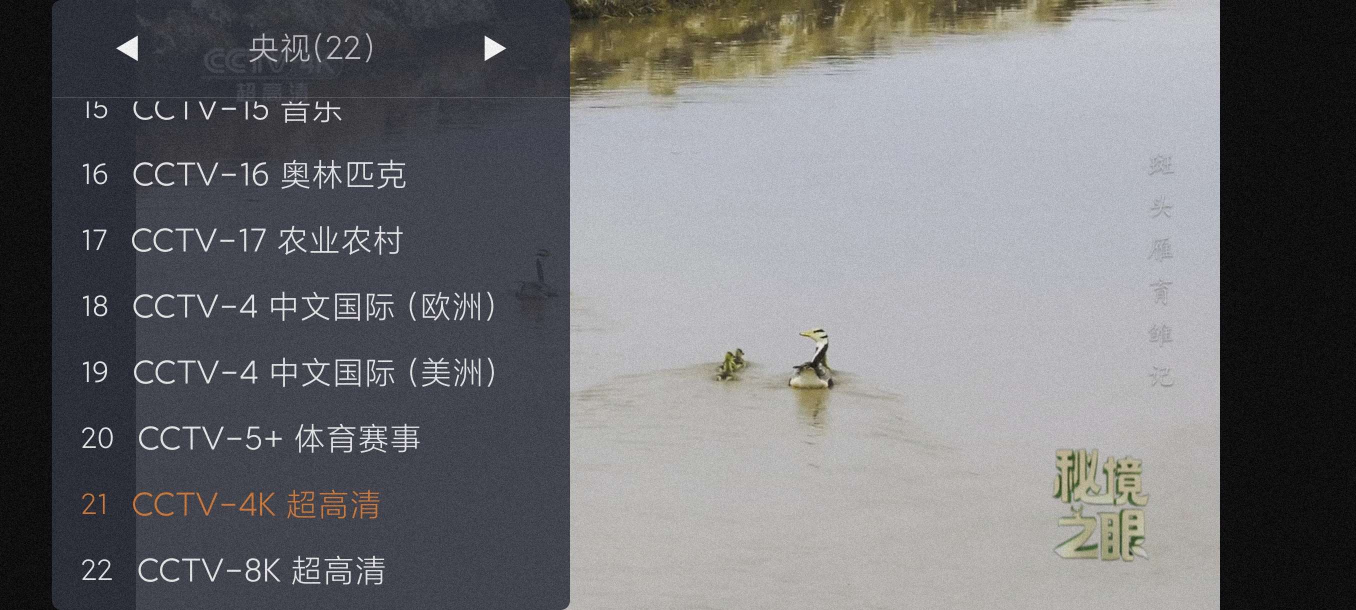 【分享】WebView~1.10.12🔥开源电视直播TV纯净版